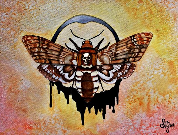 Death's Head_Moth_By_Sandra_Gale/EverIris