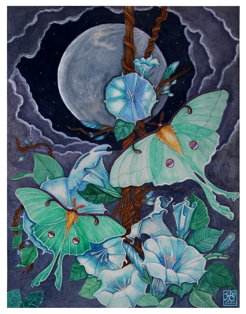 Moon_ LIfe_By_Sandra_Gale