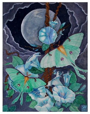 Moon_ LIfe_By_Sandra_Gale