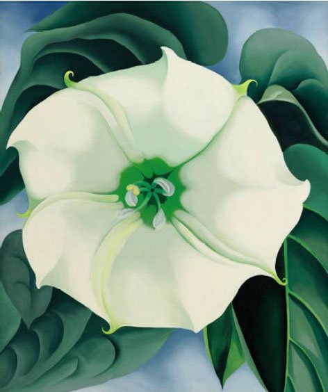 Jimson Weed/White Flower #1 by Georgia O’Keeffe